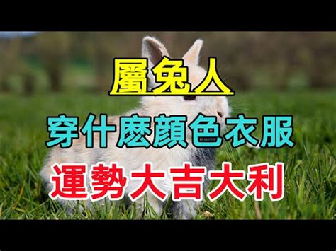 生肖適合的顏色|從「生肖」看什麼顏色會幫你帶來好運，生肖鼠適合黑。